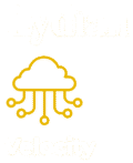 SAP Accelerators for Process Optimization | Lydian Velocity